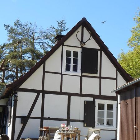 Linnehus Am Diemelsteig Diemelsee Exterior photo